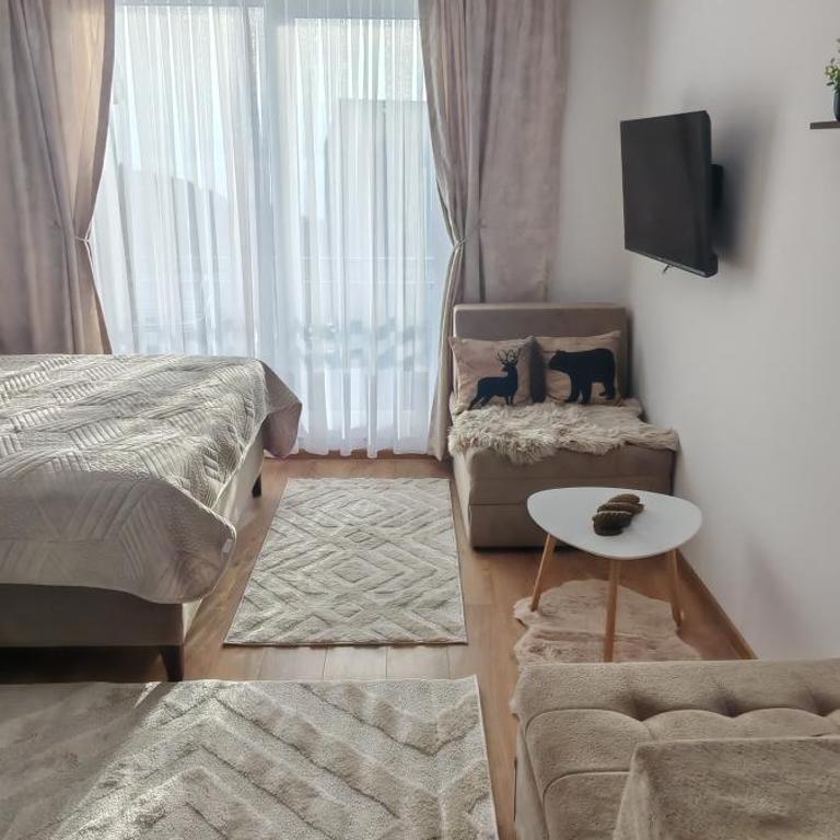 Kopaonik Alibi25 - One-Bedroom Apartment - 30