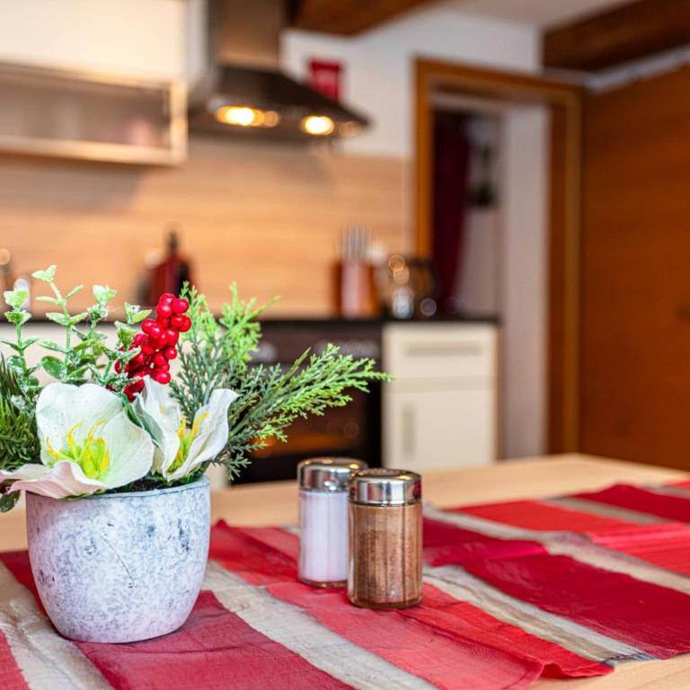 Der Bichlhof - Zell am See - Apartamento de 1 dormitorio - 10