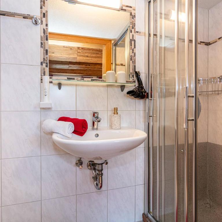 Der Bichlhof - Zell am See - Apartamento de 1 dormitorio - 13