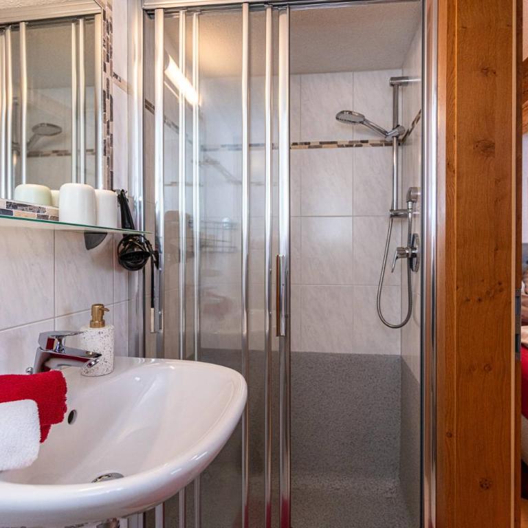 Der Bichlhof - Zell am See - Apartamento de 1 dormitorio - 18