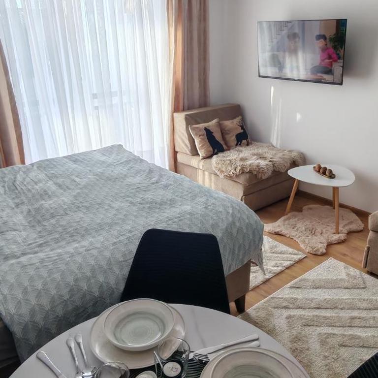 Kopaonik Alibi25 - One-Bedroom Apartment - 23
