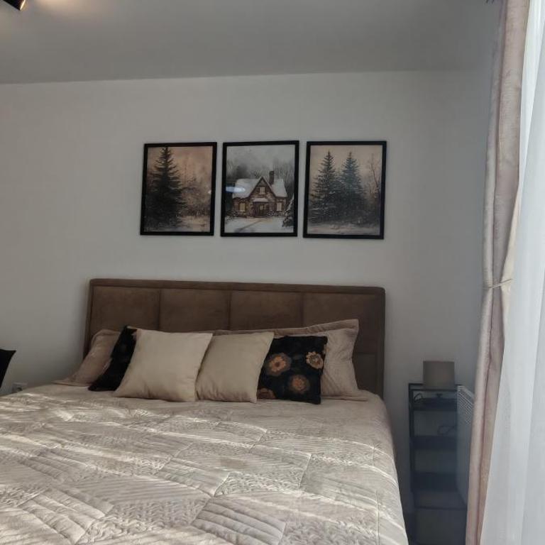 Kopaonik Alibi25 - One-Bedroom Apartment - 17