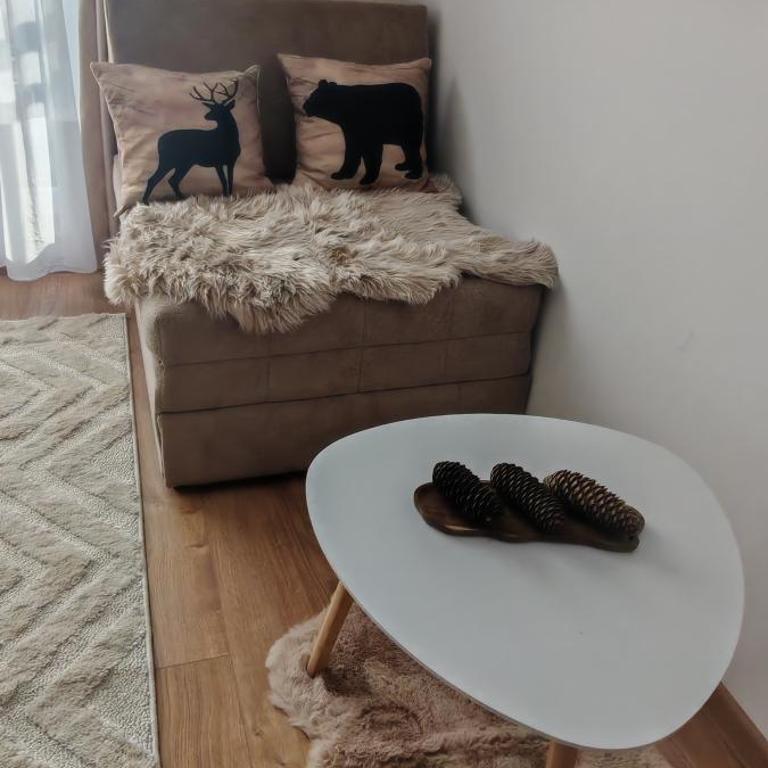 Kopaonik Alibi25 - One-Bedroom Apartment - 16