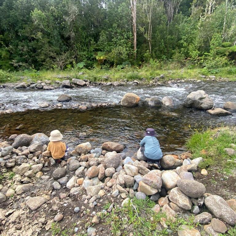 Cabaña Lago Chapo y parque Alerce Andino - Apartamento de 2 dormitorios - 3