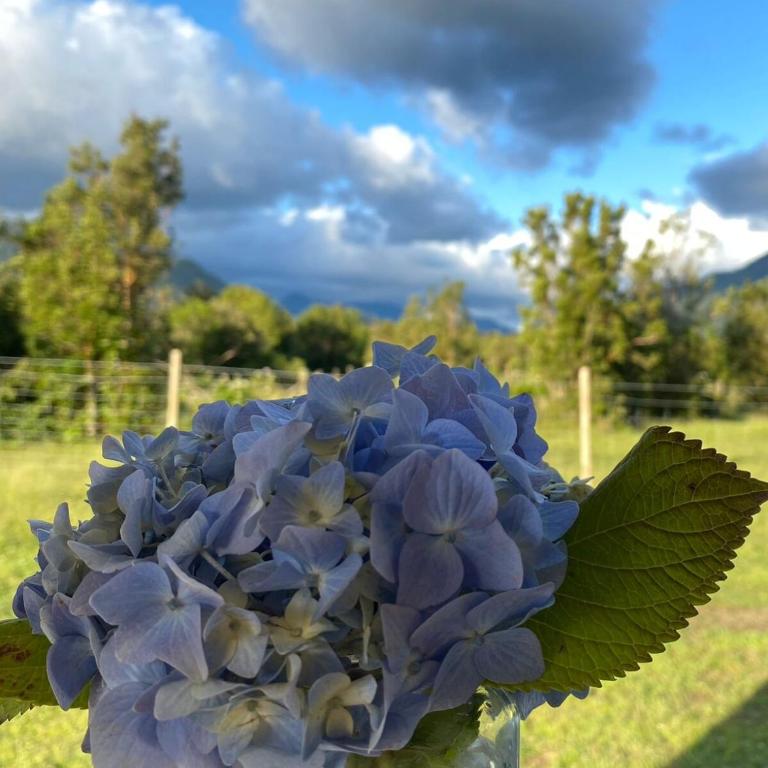 Cabaña Lago Chapo y parque Alerce Andino - Apartamento de 2 dormitorios - 18