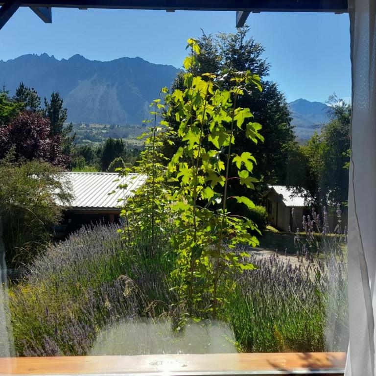 Apartamento Zorzal - One-Bedroom Apartment - 3