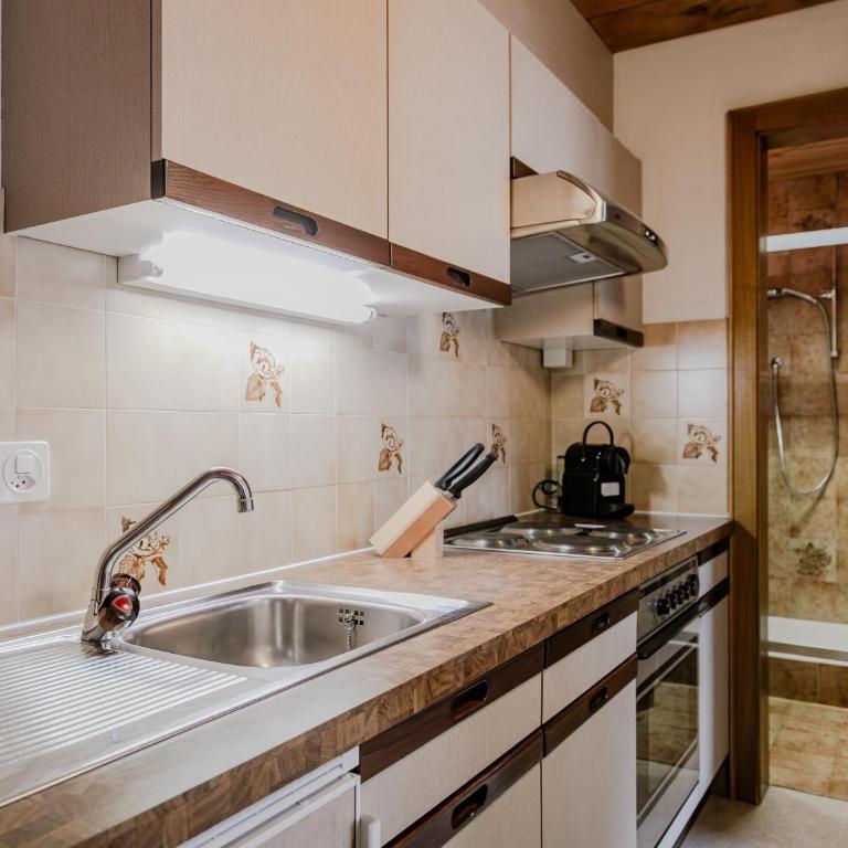 Apartment Bergsonne - Apartment mit 1 Schlafzimmer - 1