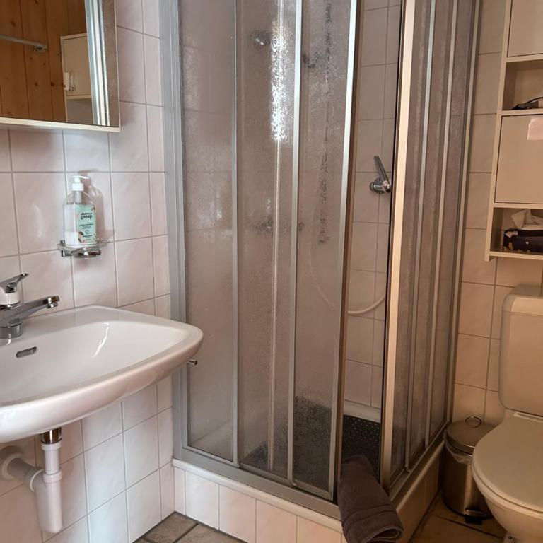 Sertig Ferienwohnung - Apartment mit 1 Schlafzimmer - 13