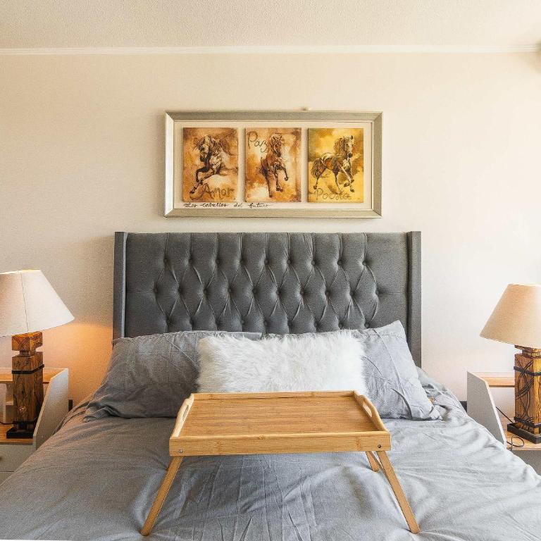 HOM I 2D2B Full equipado, Estacionamiento, Wifi, Gimnasio, Santiago Centro - Apartment - 2
