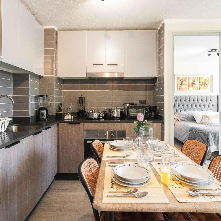 HOM I 2D2B Full equipado, Estacionamiento, Wifi, Gimnasio, Santiago Centro - Apartment - 12