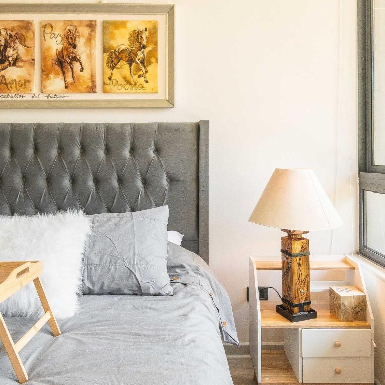 HOM I 2D2B Full equipado, Estacionamiento, Wifi, Gimnasio, Santiago Centro - Apartment - 26