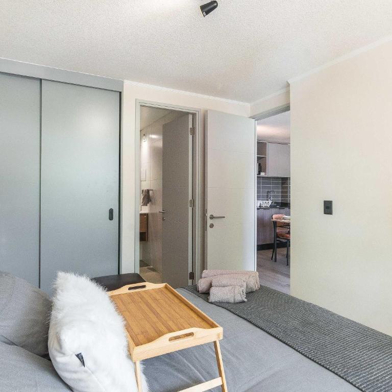 HOM I 2D2B Full equipado, Estacionamiento, Wifi, Gimnasio, Santiago Centro - Apartment - 30