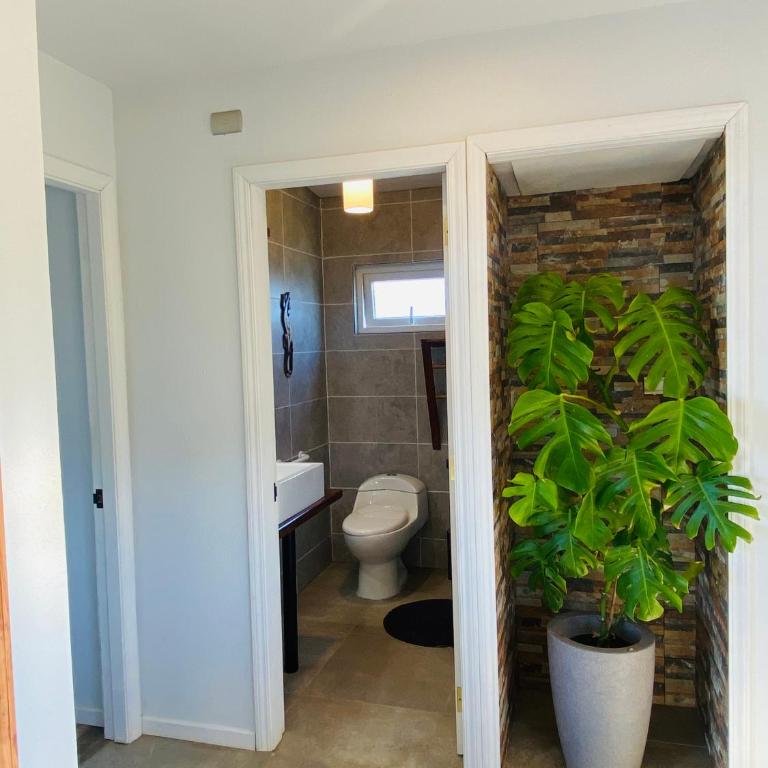 Cabaña Alojamiento Nativo Suite - Apartment - 14