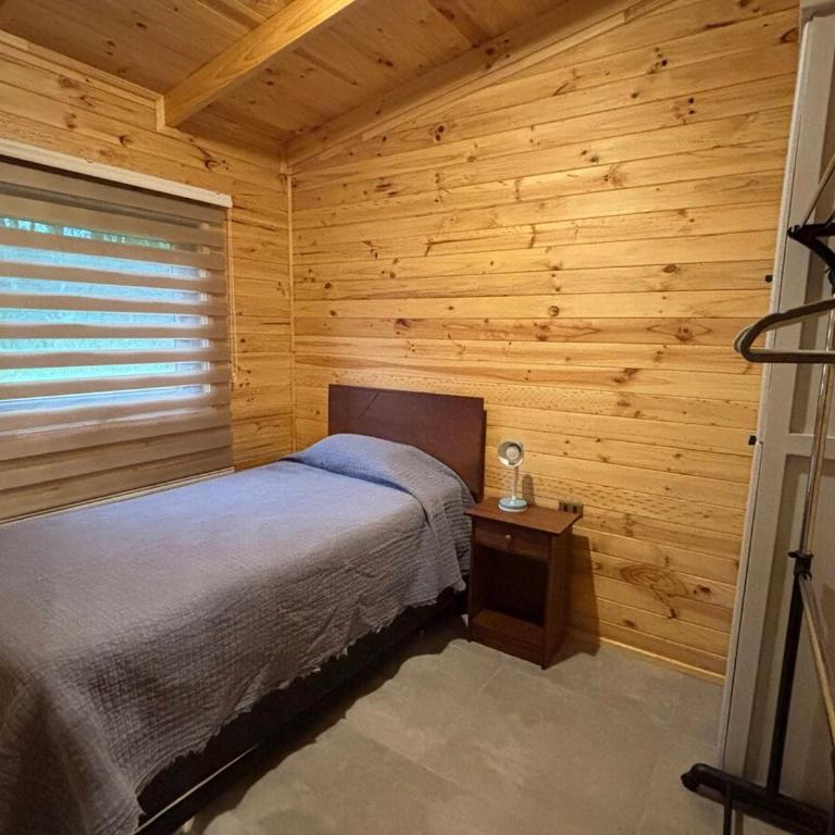 Cabaña en Panguipulli - Apartamento de 2 dormitorios - 14