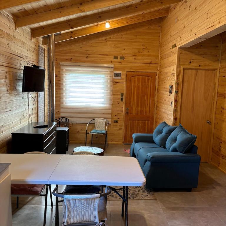 Cabaña en Panguipulli - Apartamento de 2 dormitorios - 19