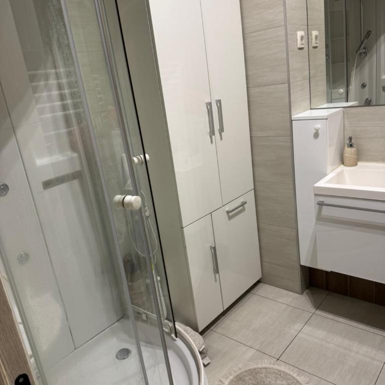 Vila Ljubovic - Apartman sa 1 Spavaćom Sobom - 9