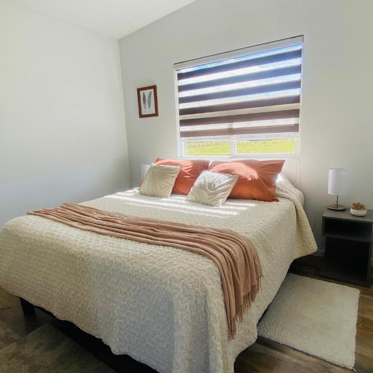 Cabaña Alojamiento Nativo Suite - Apartment - 3