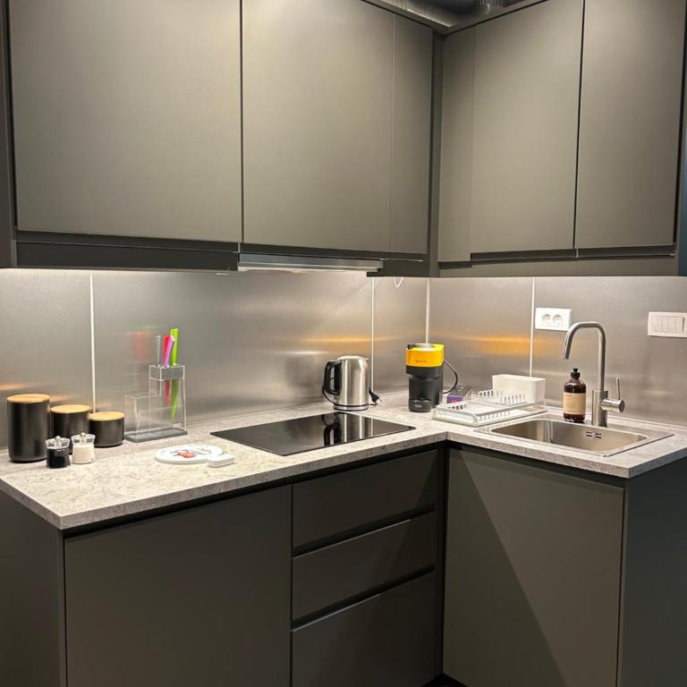 Apartman Nikolic 418 - One-Bedroom Apartment - 9