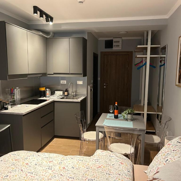 Apartman Nikolic 418 - One-Bedroom Apartment - 8