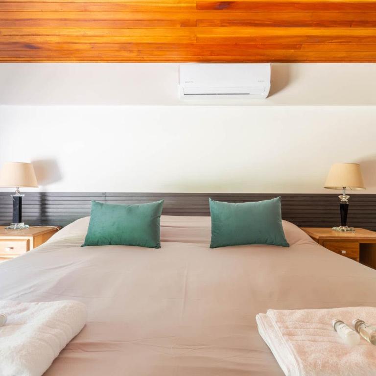 MOT Wine Country Deluxe Villa 27 pax - Villa - 87