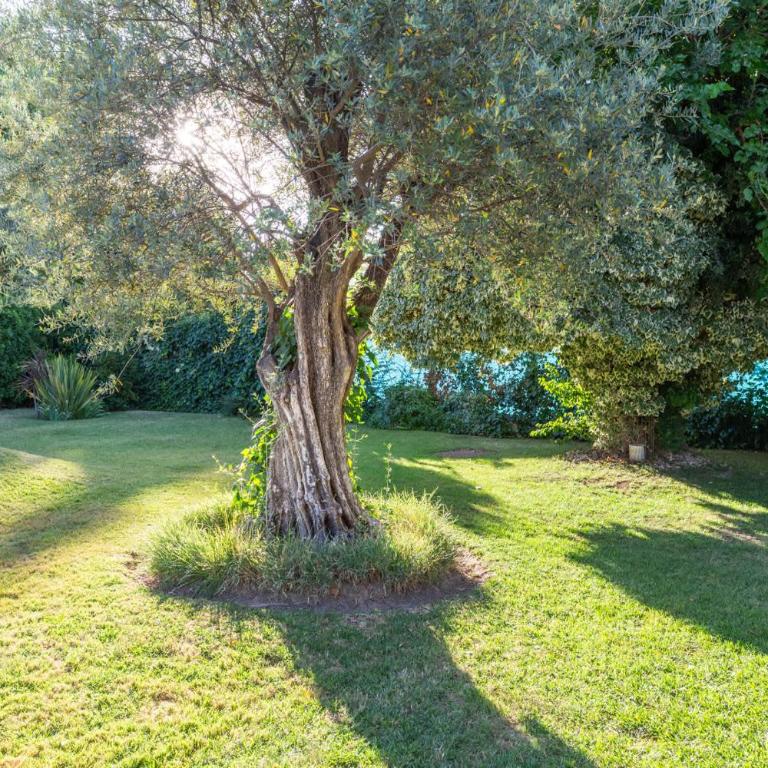 MOT Wine Country Deluxe Villa 27 pax - Villa - 99