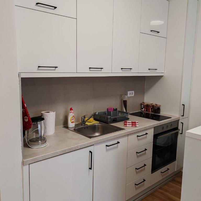 Dvosobni apartman Pavic Lux - Apartman sa 2 Spavaće Sobe - 18