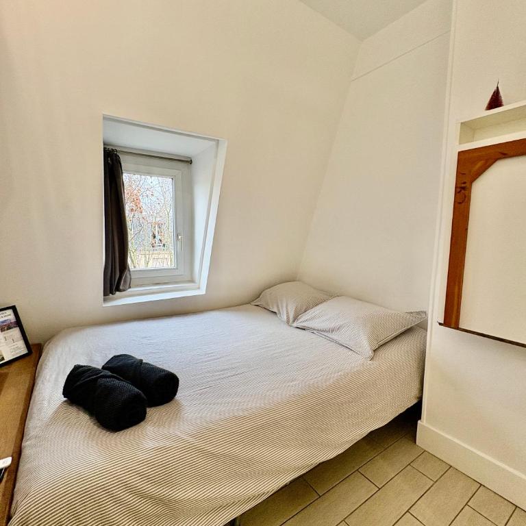 Charmant studio avec ascenseur - Appartement 1 Chambre - 1