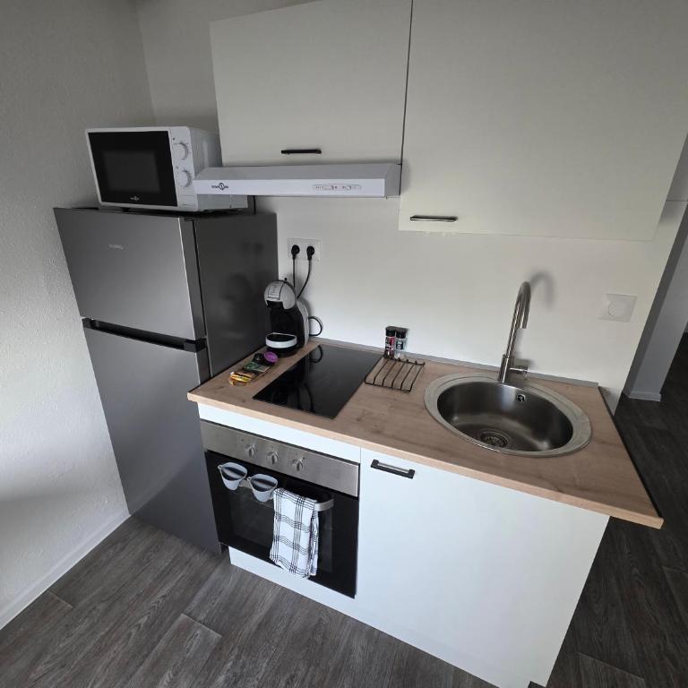 "Eucalyptus " Centre ville, stationnement gratuit et proche tram - Appartamento con 1 Camera da Letto - 6
