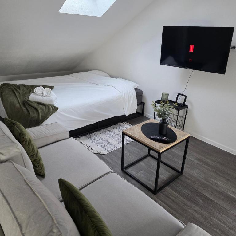 "Eucalyptus " Centre ville, stationnement gratuit et proche tram - Appartamento con 1 Camera da Letto - 3