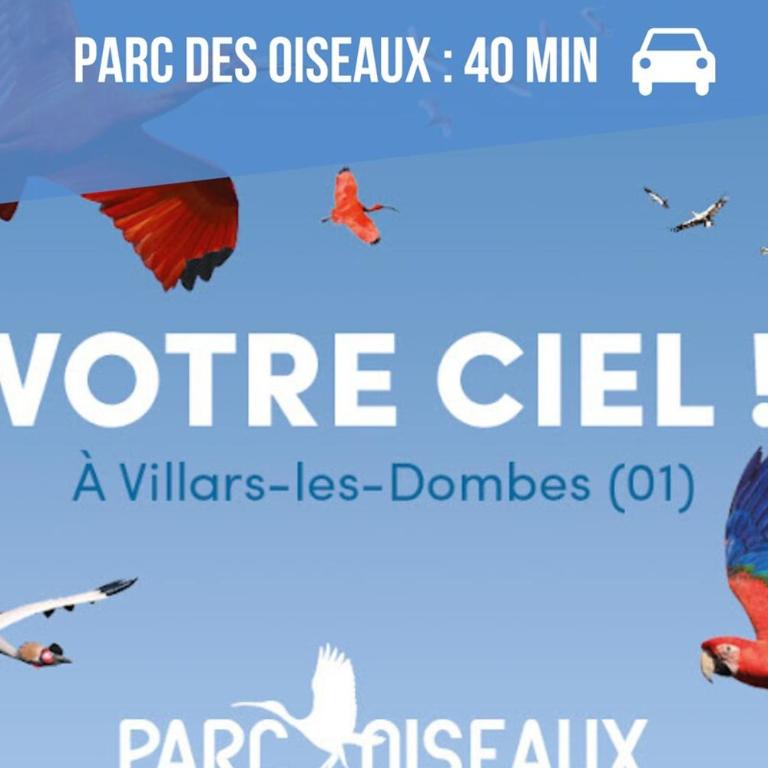 Le Celestya, confort au bord du rhône avec terrasse - Appartement 2 Chambres - 22