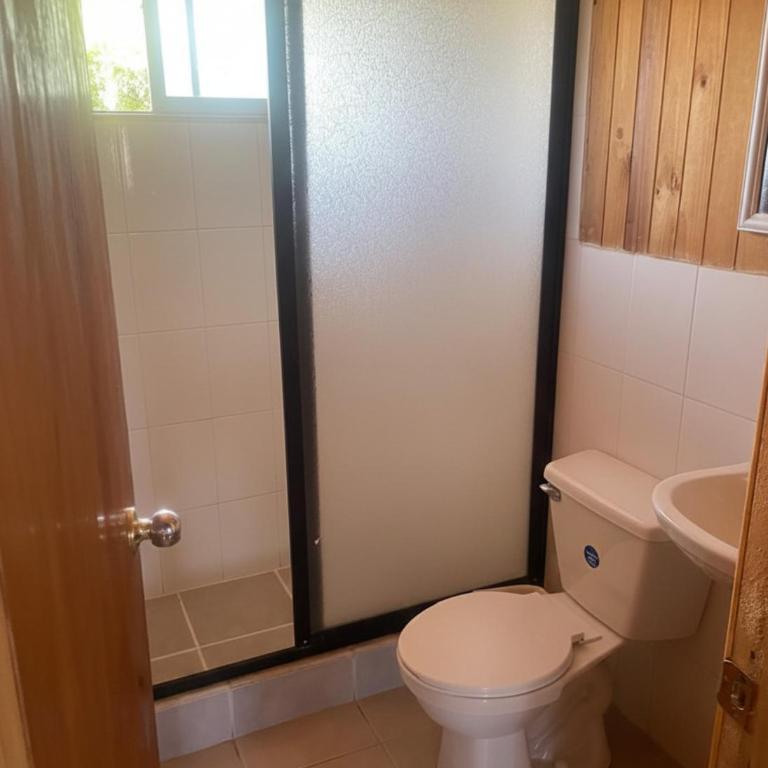 Cabañas los Jardines de Lican ray - Three-Bedroom Apartment - 10