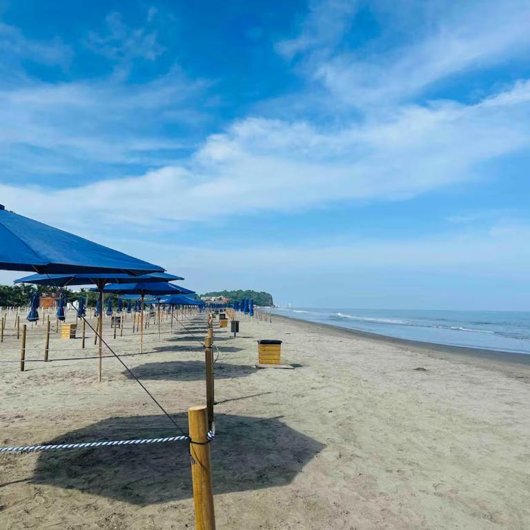 Spectacular Beachfront Apartment - Two-Bedroom Apartment - 31