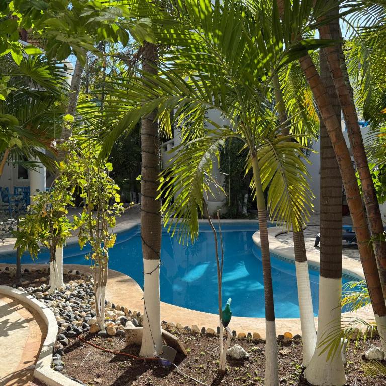 Blue angel 9 a pasos de la 5 Av y la playa - Apartamento de 3 dormitorios - 1