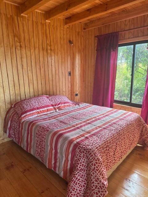 Cabaña Lago Ranco - One-Bedroom Apartment - 10
