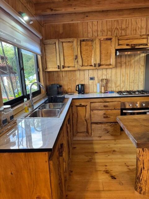 Cabaña Lago Ranco - One-Bedroom Apartment - 11