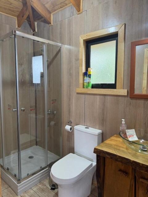 Cabaña Lago Ranco - One-Bedroom Apartment - 12
