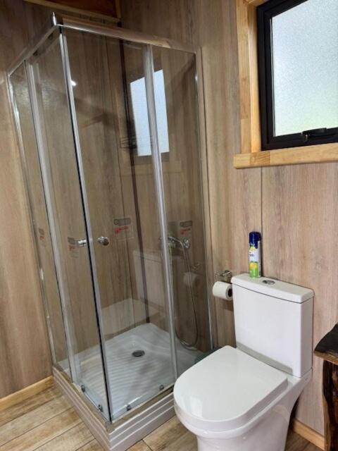 Cabaña Lago Ranco - One-Bedroom Apartment - 22