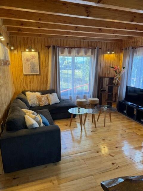 Cabaña Lago Ranco - One-Bedroom Apartment - 23