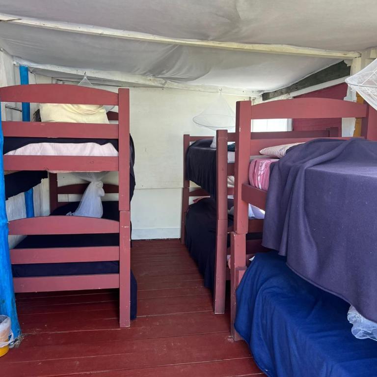 El Antiguo - Bed in 6-Bed Mixed Dormitory Room - 1