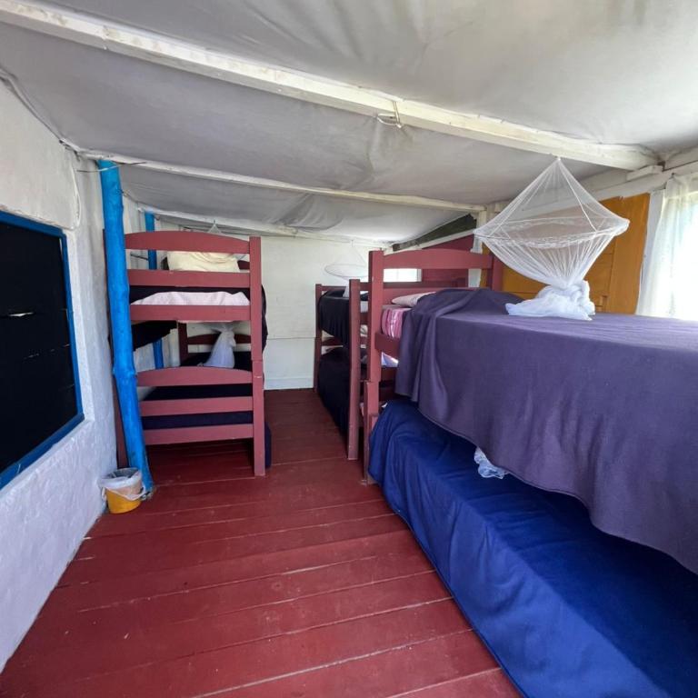 El Antiguo - Bed in 6-Bed Mixed Dormitory Room - 2