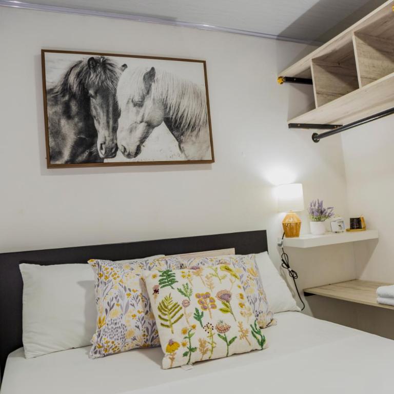 Coliving7 Aparta Hotel & Habitaciones - Apartamento - 4