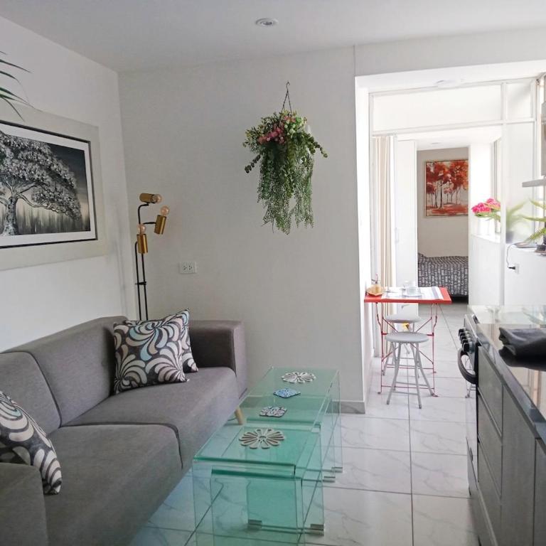 Mini departamento en Miraflores - One-Bedroom Apartment - 12