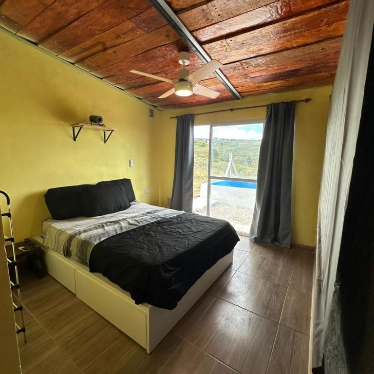Ecolodge - One-Bedroom Apartment - 1