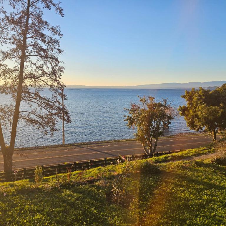 Lago Ranco, cabaña orilla de lago - Two-Bedroom House - 7