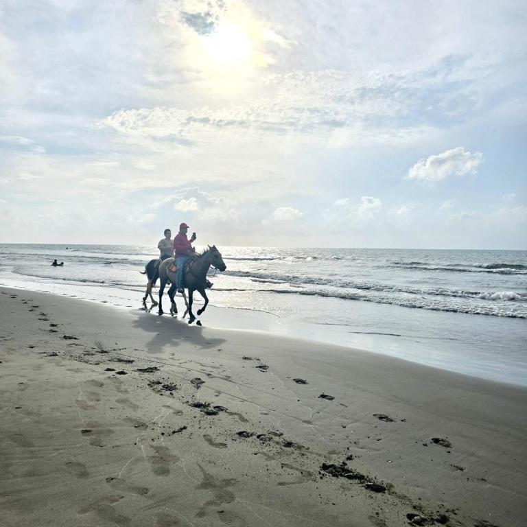 Exceptional apartment to rest - Apartamento de 2 dormitorios - 26