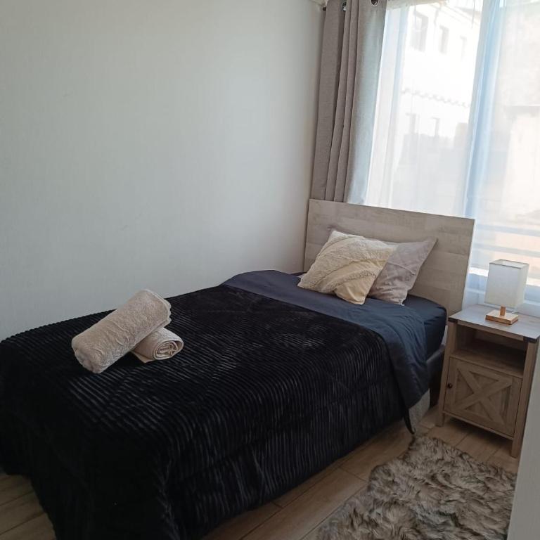 Santiago Centro 2H 2B full equipado y WiFie TV - Two-Bedroom Apartment - 10