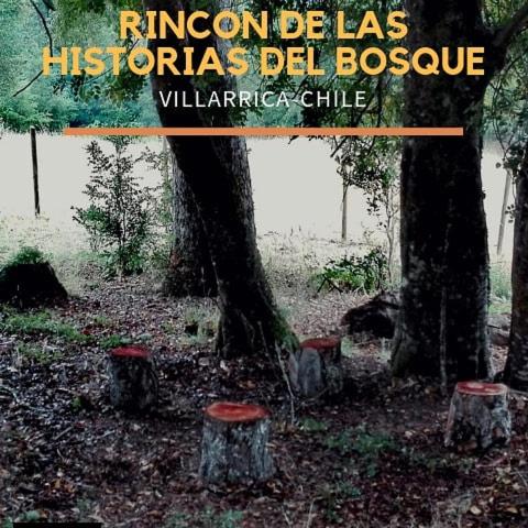 Cabañas Lomas de Liumalla - Chalet de 2 dormitorios - 8