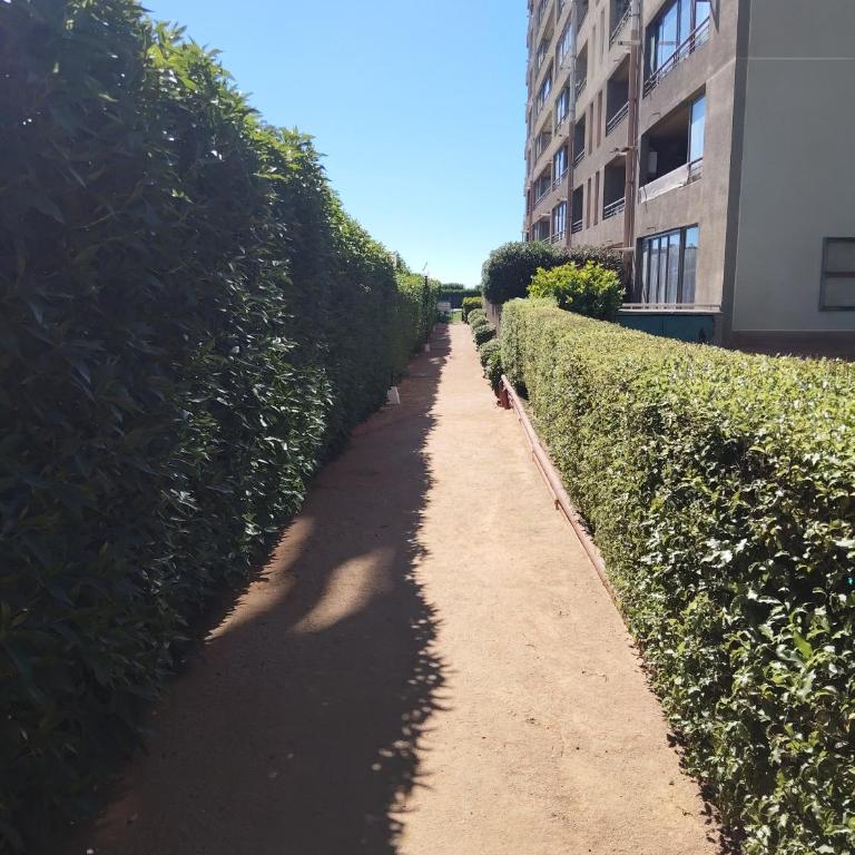 Depto condominio Atlántico - Three-Bedroom Apartment - 19