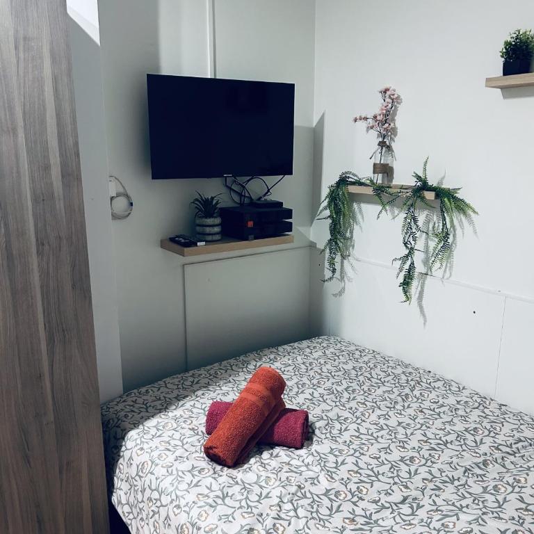 Le petit bien a strasbourg centre - Appartamento con 1 Camera da Letto - 4