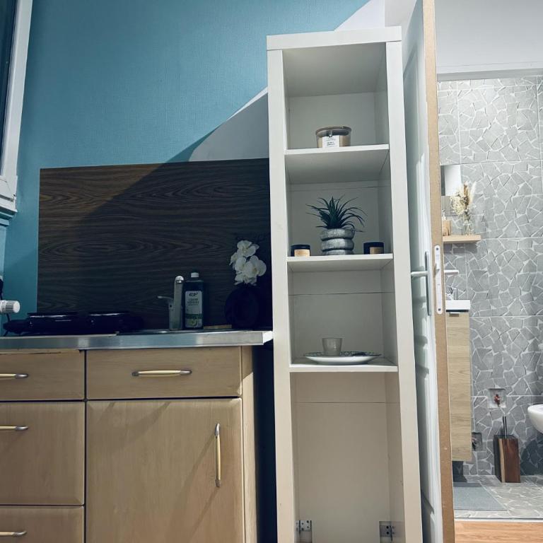 Le petit bien a strasbourg centre - Appartamento con 1 Camera da Letto - 5